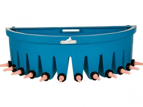 Stallion K�lber-Bar mit Unterteilung, 12 Sauger, 70 Liter