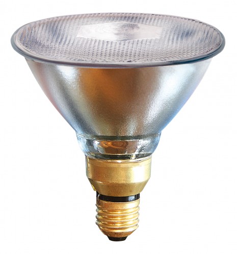 Infrarot-Sparlampe PAR38, 100W, klar