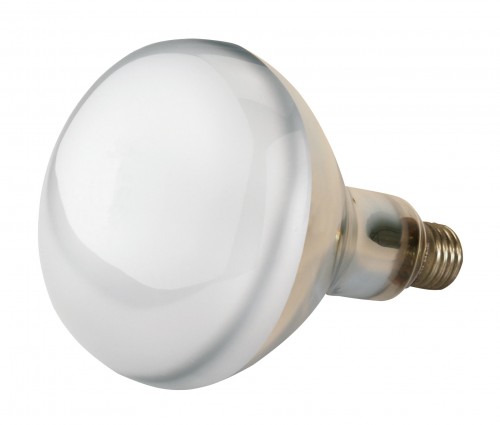 Hartglas-Infrarotlampe 150W, klar