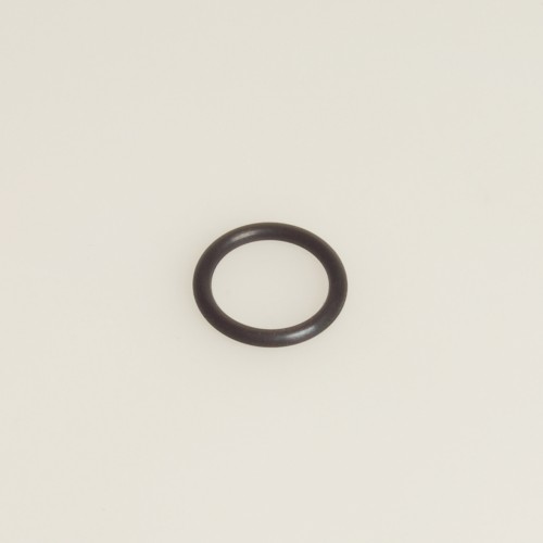 Nu Pulse Ventil-O-Ring (G) | 0186511217