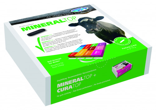 Landmans Best Mineraltop Weidezeit Bolus 12 x 110 g