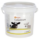 Globigen Colostrum, 1kg