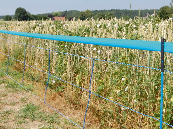 AKO WildNet Wildabwehrnetz, 50m - AKO 27215 AKO WildNet Wildabwehrnetz, 50m von AKO 27215