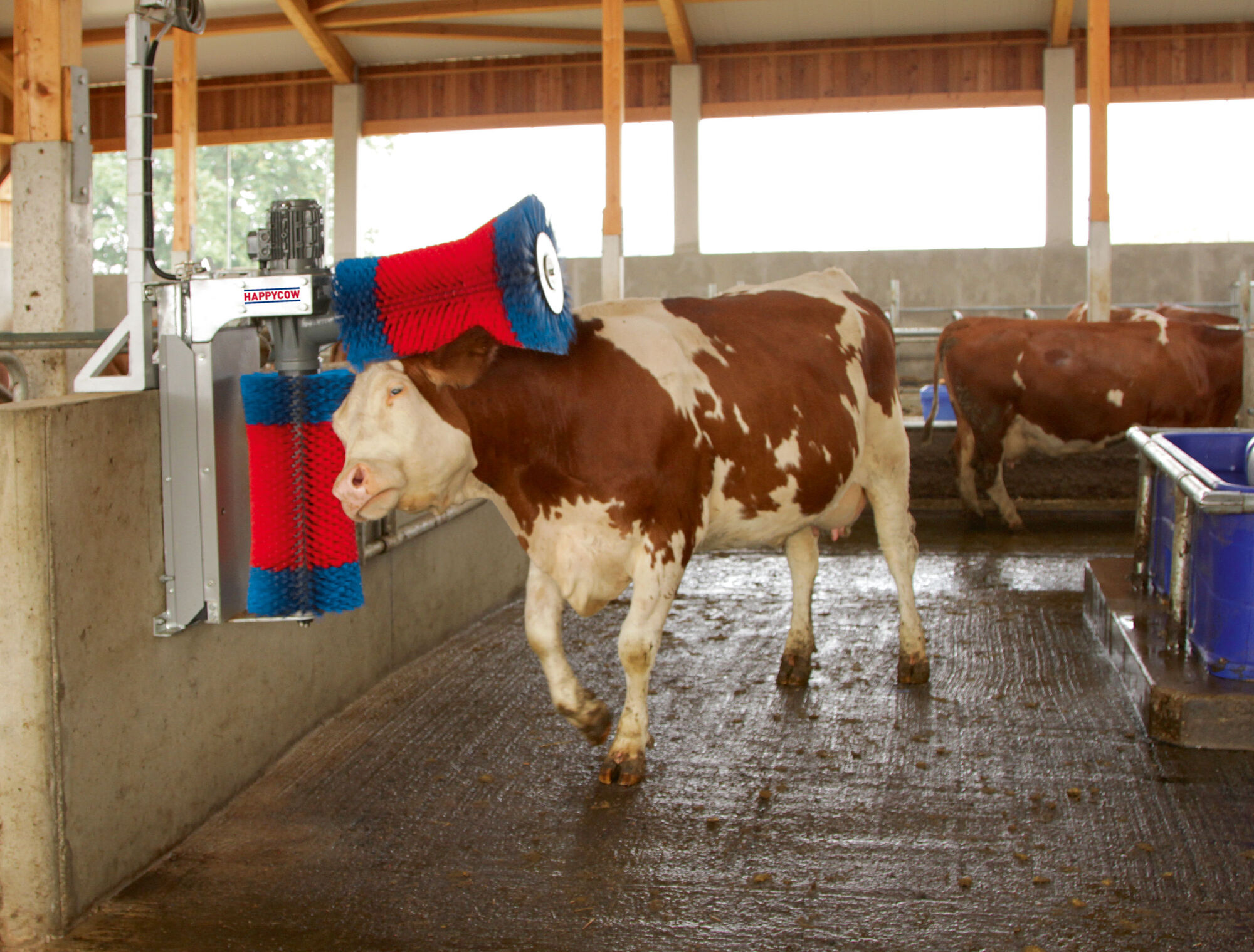 Kuhputzmaschine HAPPYCOW Duo von Kerbl 18820