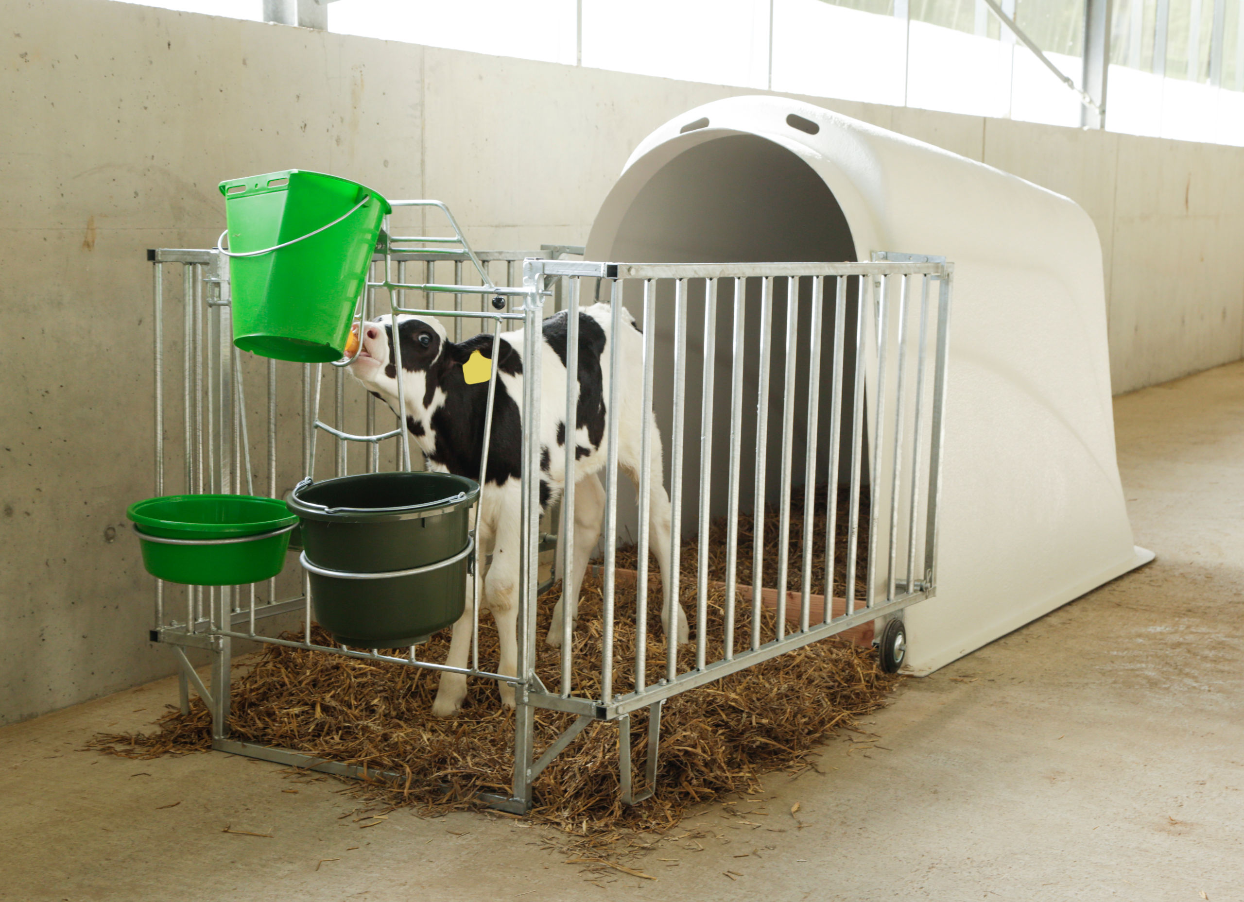 Kälberiglu CalfHouse Master Plus mit leichter Umzäunung von Kerbl 14470