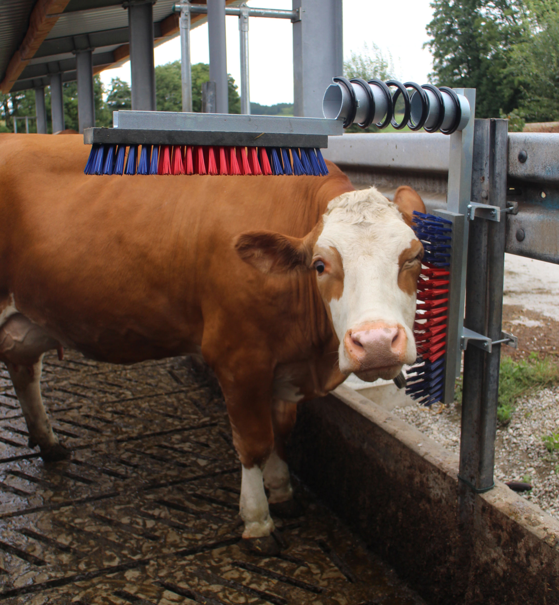 Viehbürste EuroFarm - Kerbl 29325 Viehbürste EuroFarm von Kerbl 29325