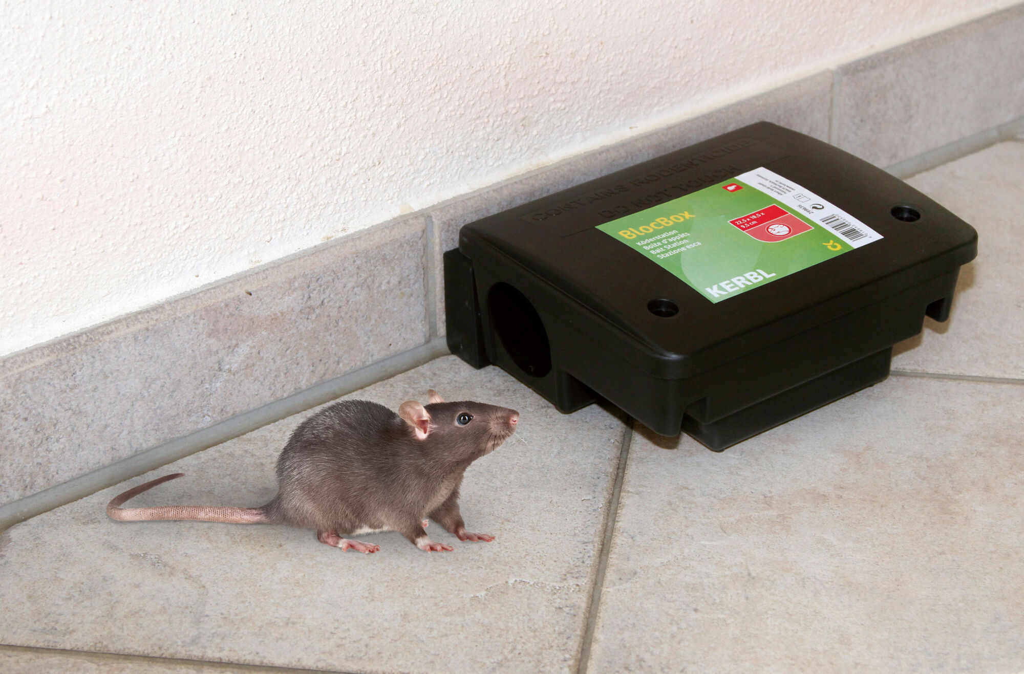 Köderstation BlocBox Beta für Ratten - 299636 Köderstation BlocBox Beta für Ratten von 299636