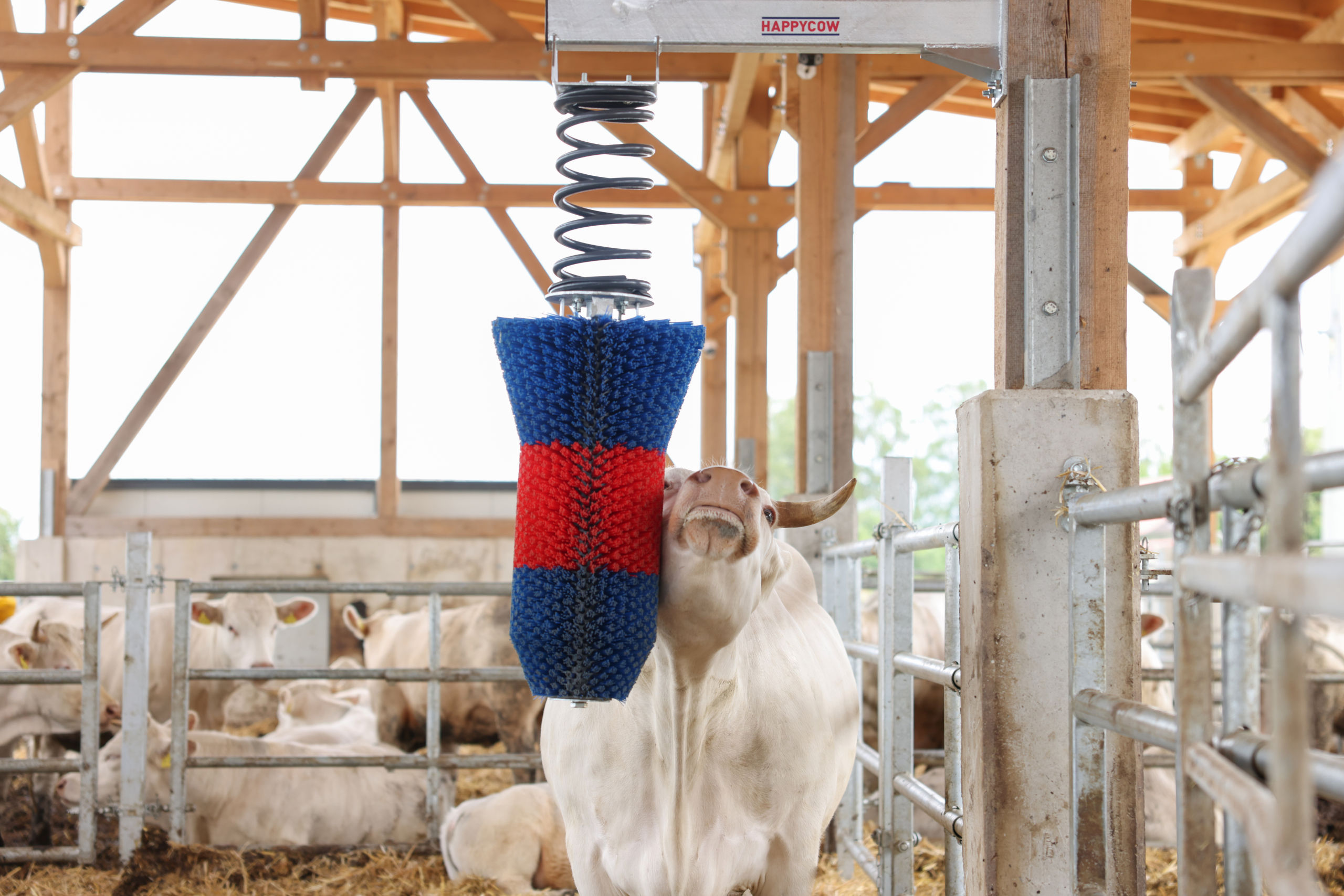 Kratzbürste HAPPYCOW FlexiSwing - Kerbl 18670 Kratzbürste HAPPYCOW FlexiSwing von Kerbl 18670
