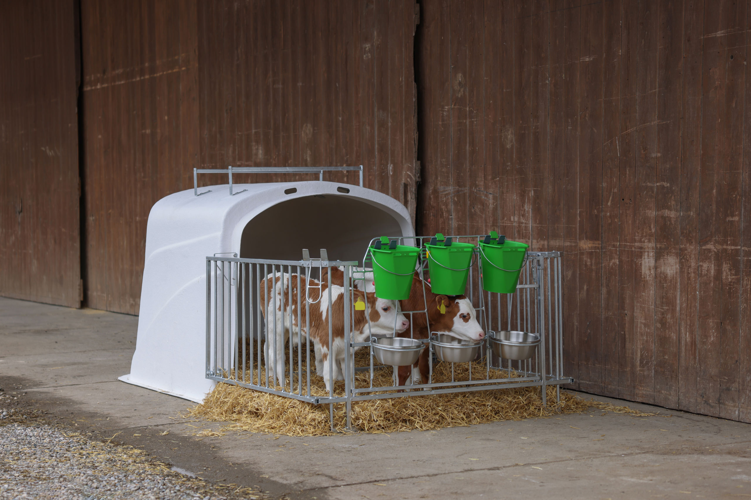 CalfHouse Premium DUO mit Umzäunung - Kerbl 14618 CalfHouse Premium DUO mit Umzäunung von Kerbl 14618