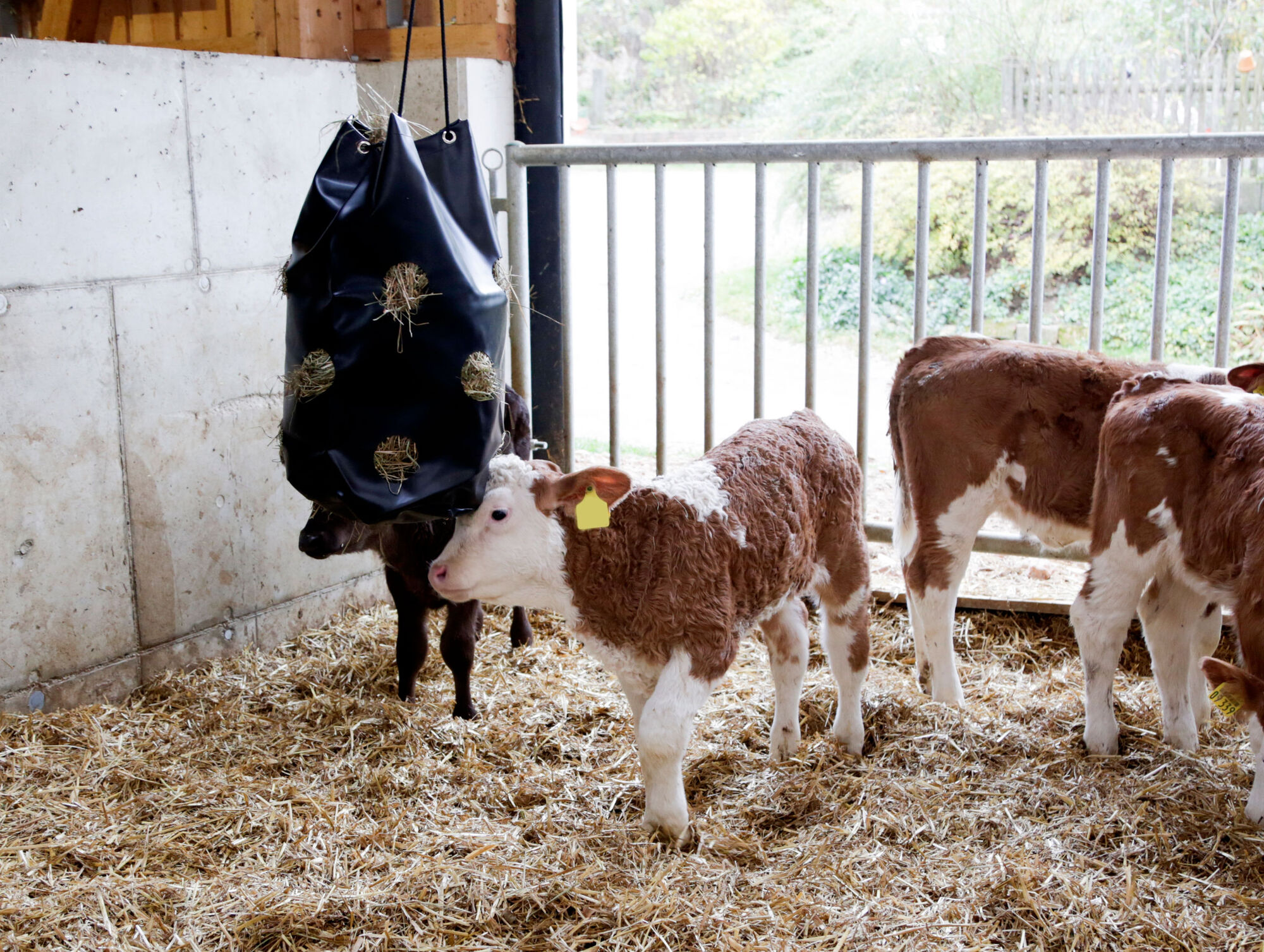 HayBag, Kunststoff - Kerbl HayBag, Kunststoff von Kerbl