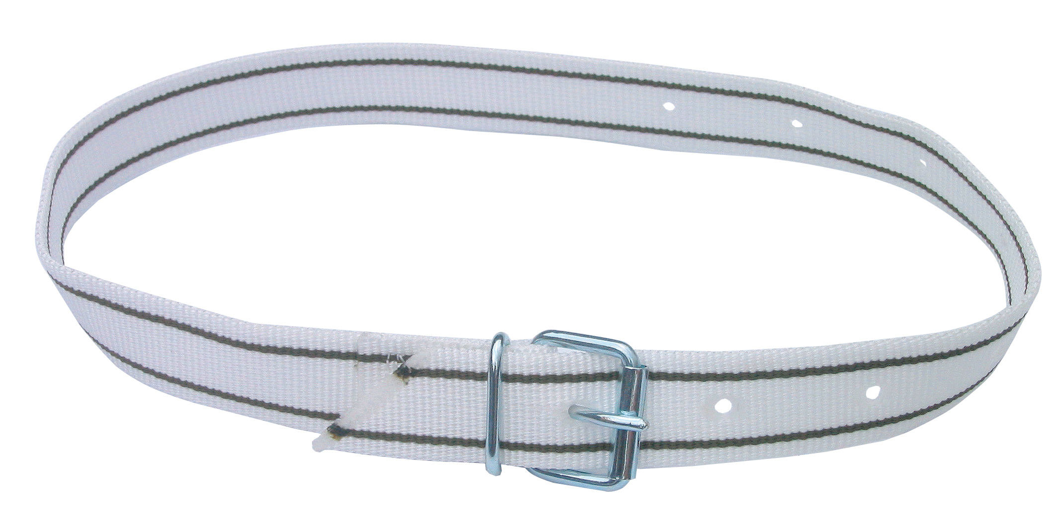 Halsmarkierungsband Premium mit Rollschnalle | 120cm von Kerbl 20889-X