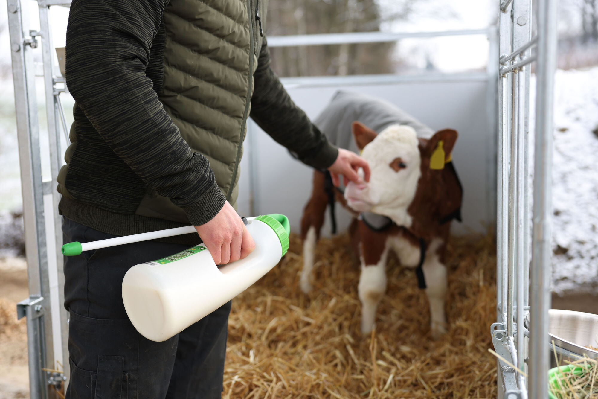 Calf Drencher MilkyDrencher von Kerbl