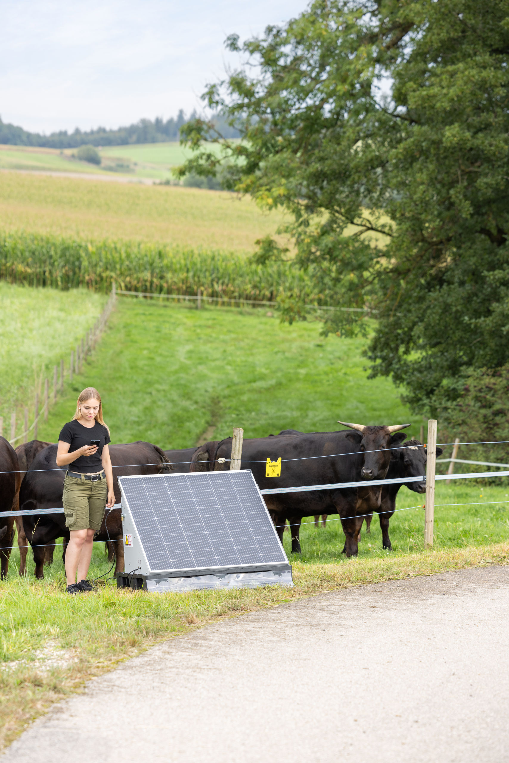AKO Solar Station XXL smart - AKO 441103 AKO Solar Station XXL smart von AKO 441103
