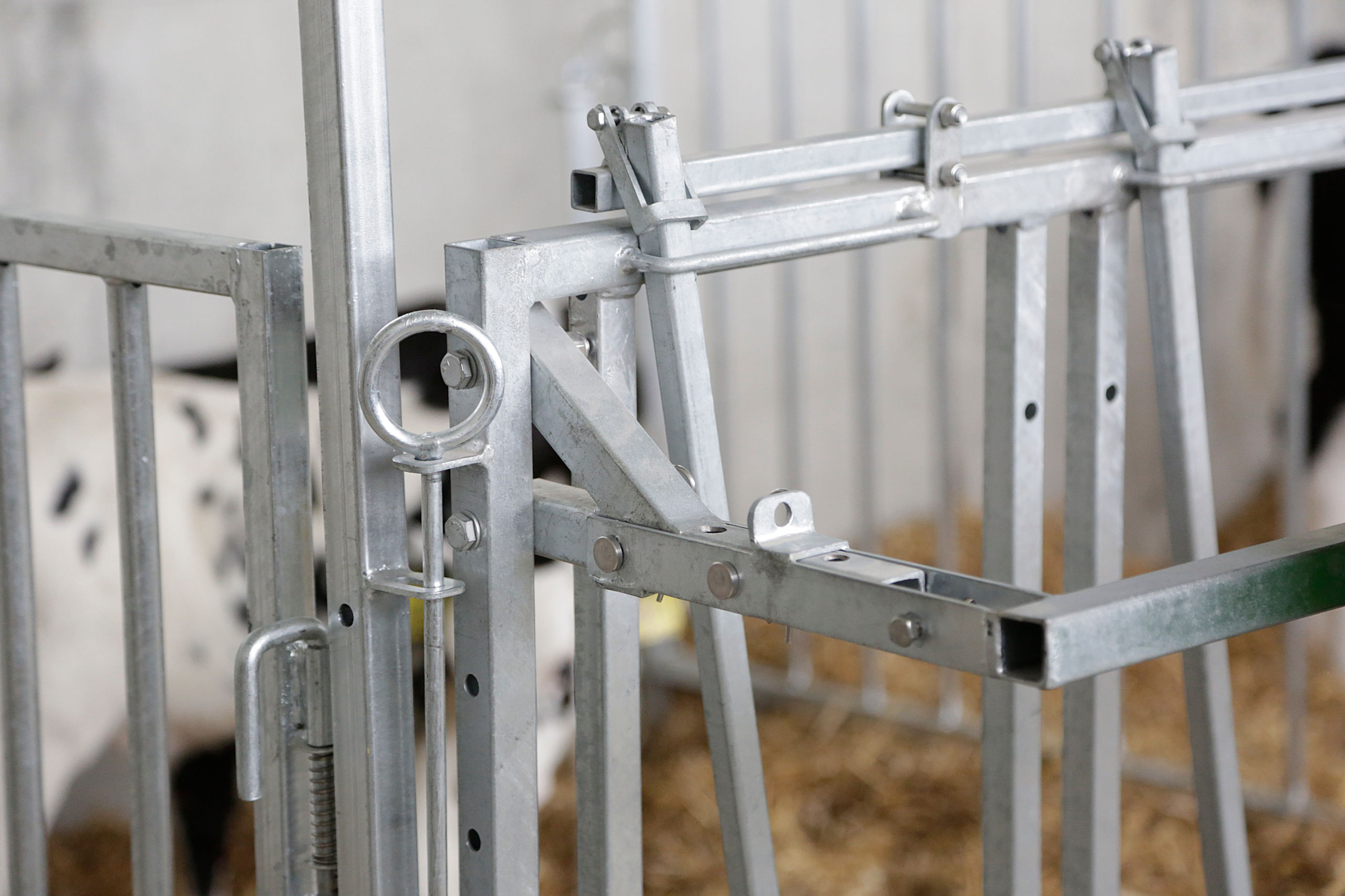 Fressgitter 5 Plätze mit Troghalter für modulare Zaunaufstallung von Kerbl 14493