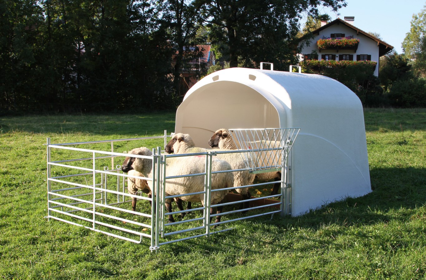 Großraumhütte mit Anschlussset für Steckhorden, Mod. 2020 von Kerbl 27103