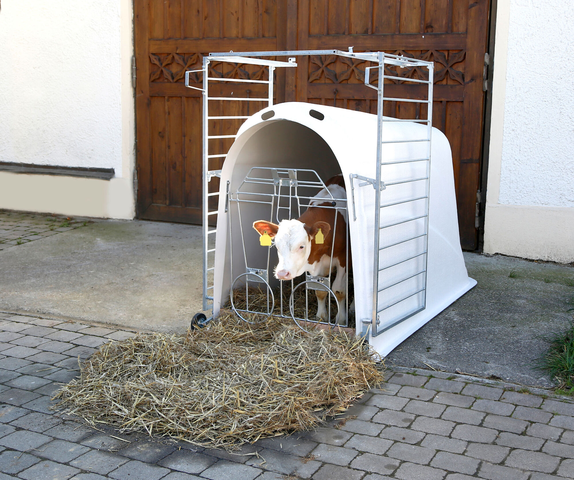 Kälberiglu CalfHouse Master Plus mit schwerer Umzäunung von Kerbl 14485