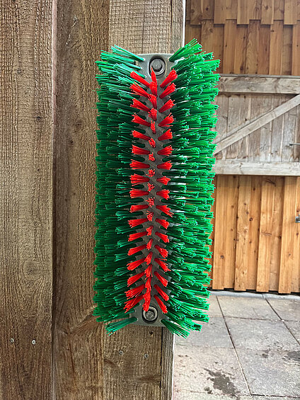 Kratzbürste Eco halbrund von Göbel
