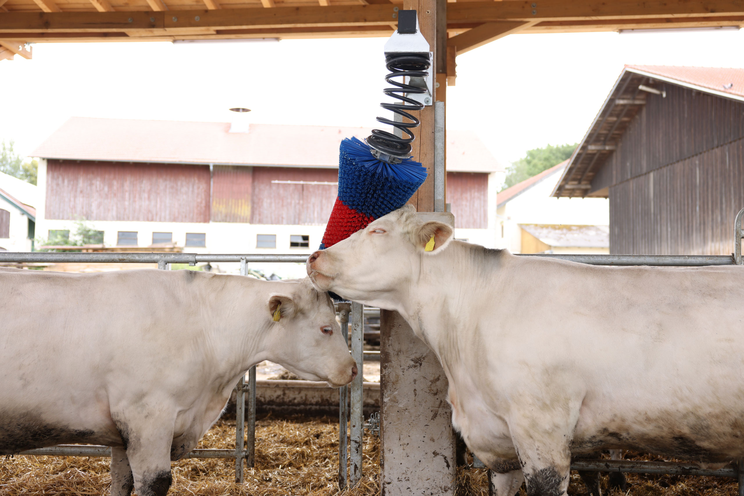 Kratzbürste HAPPYCOW FlexiSwing - Kerbl 18670 Kratzbürste HAPPYCOW FlexiSwing von Kerbl 18670