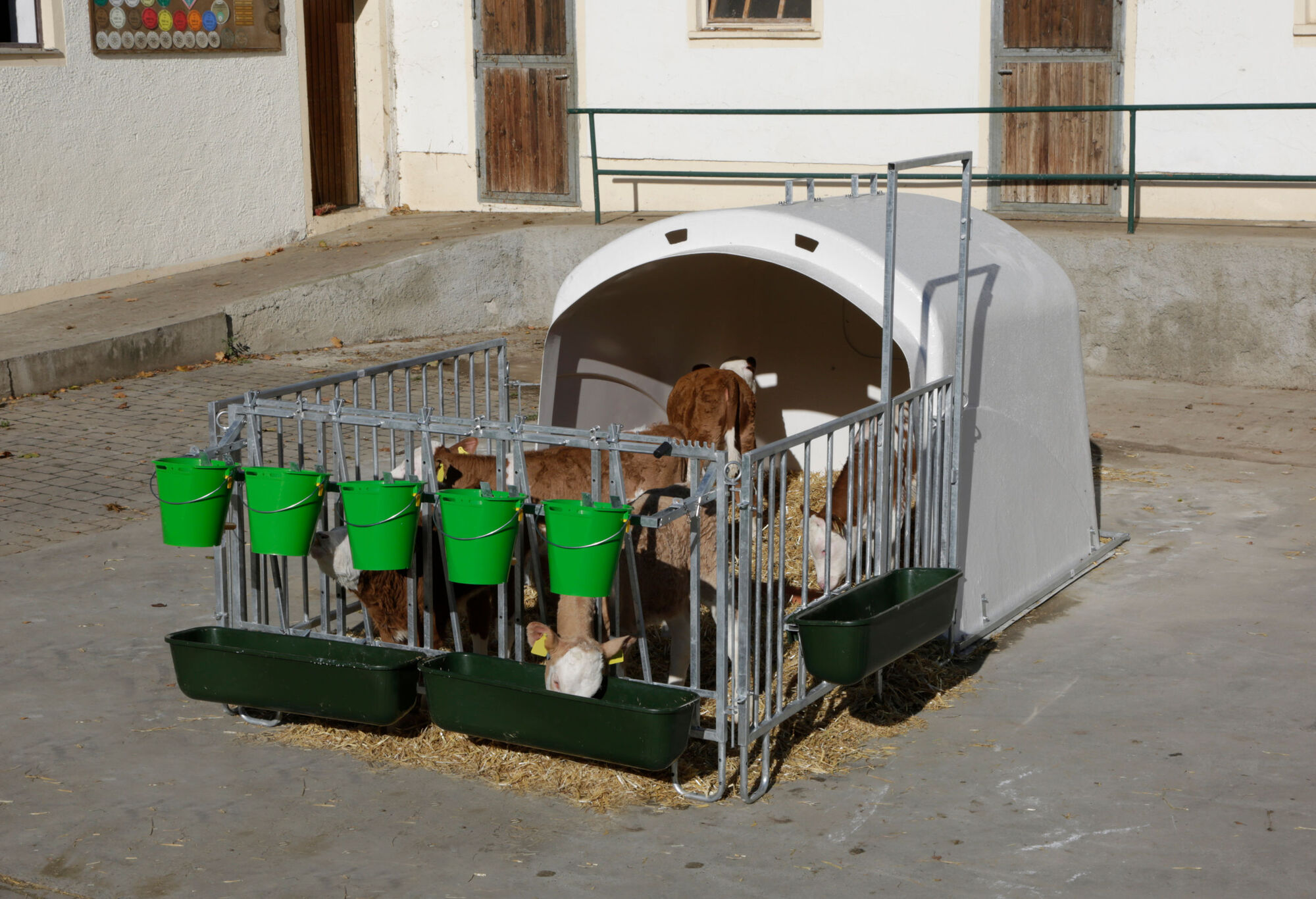 Großraumkälberhütte CalfHouse Premium XL inkl. Umzäunung - Kerbl 14520 Großraumkälberhütte CalfHouse Premium XL inkl. Umzäunung von Kerbl 14520