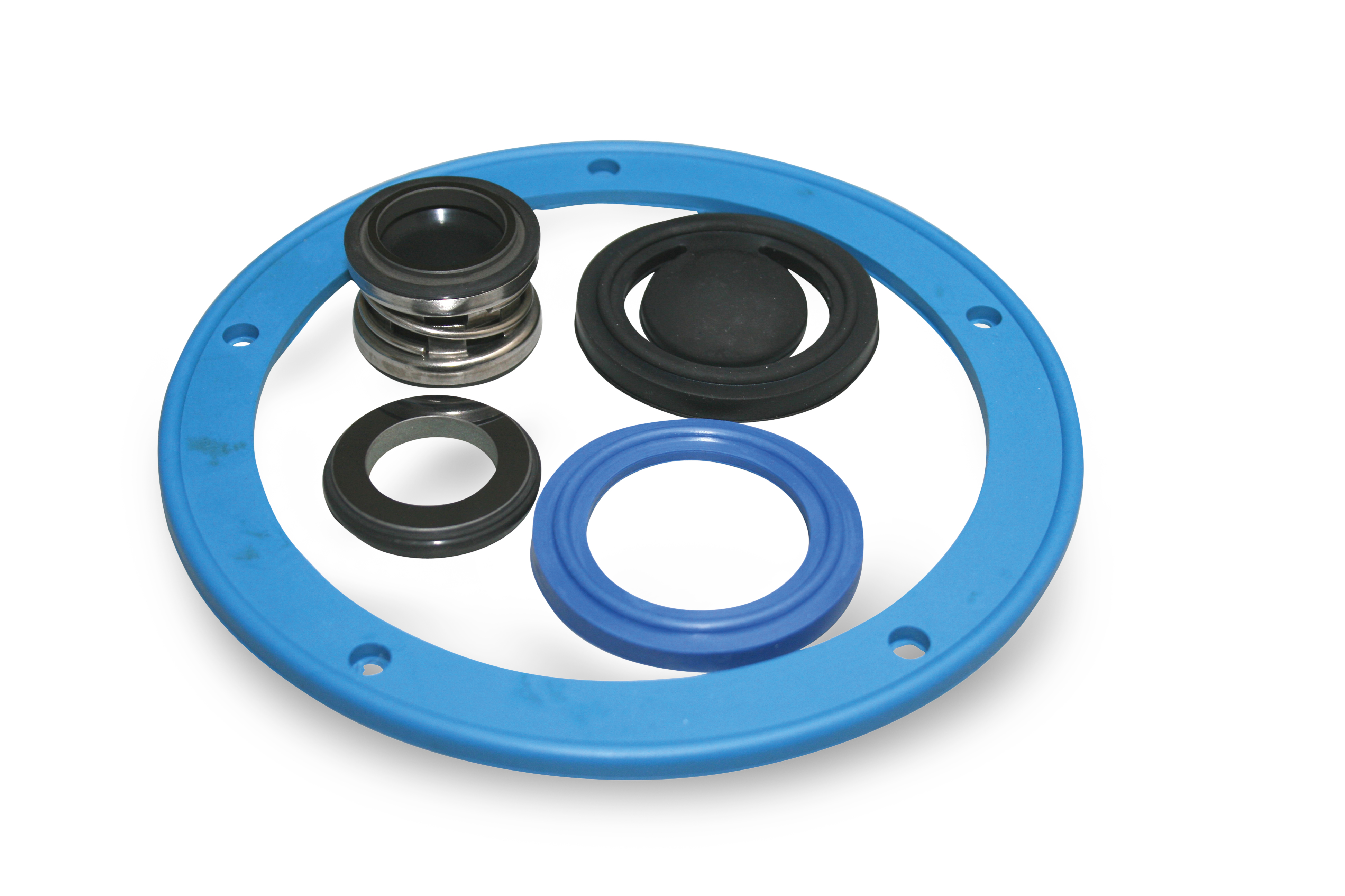 Reparatursatz passend für Dairymaster Milchpumpe | CP213 von Dairymaster (passend für)