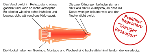 Stallion Peach Teat Sauger Universal ohne Einschraubgewinde von Stallion