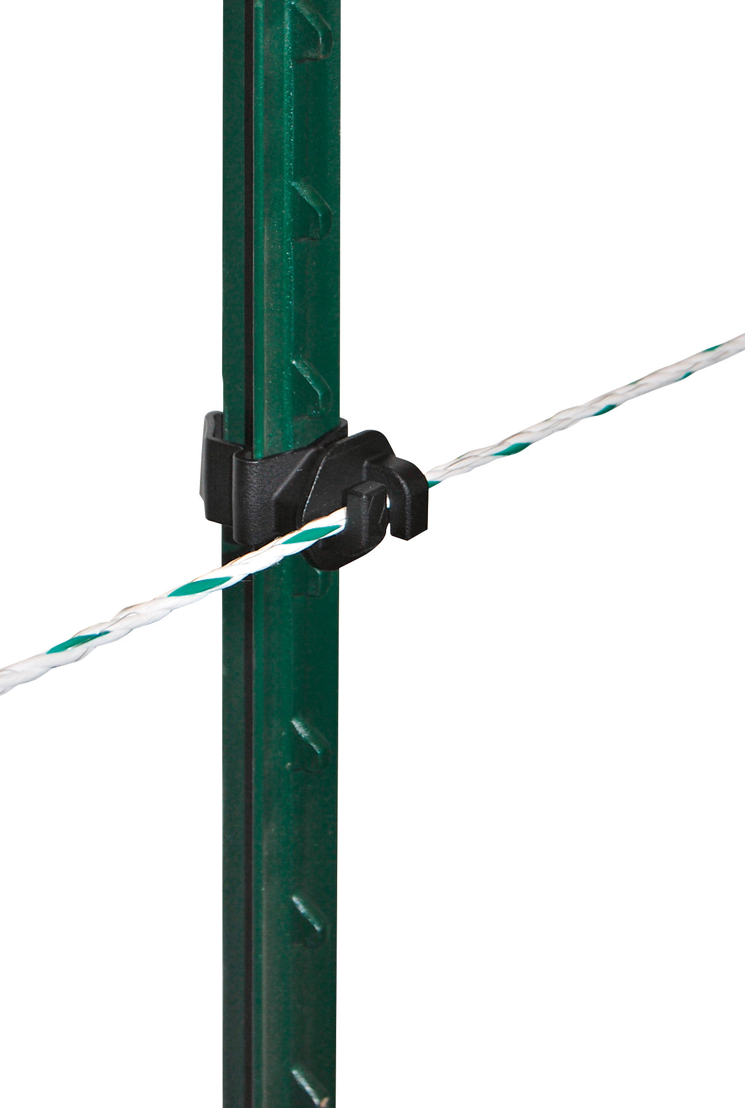 Seilisolator T-Post | 25 Stück - AKO Seilisolator T-Post | 25 Stück von AKO