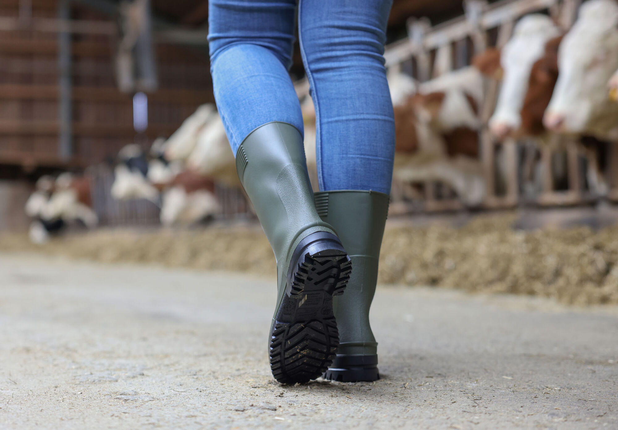 nora Arbeitsstiefel RANCH LOW von nora