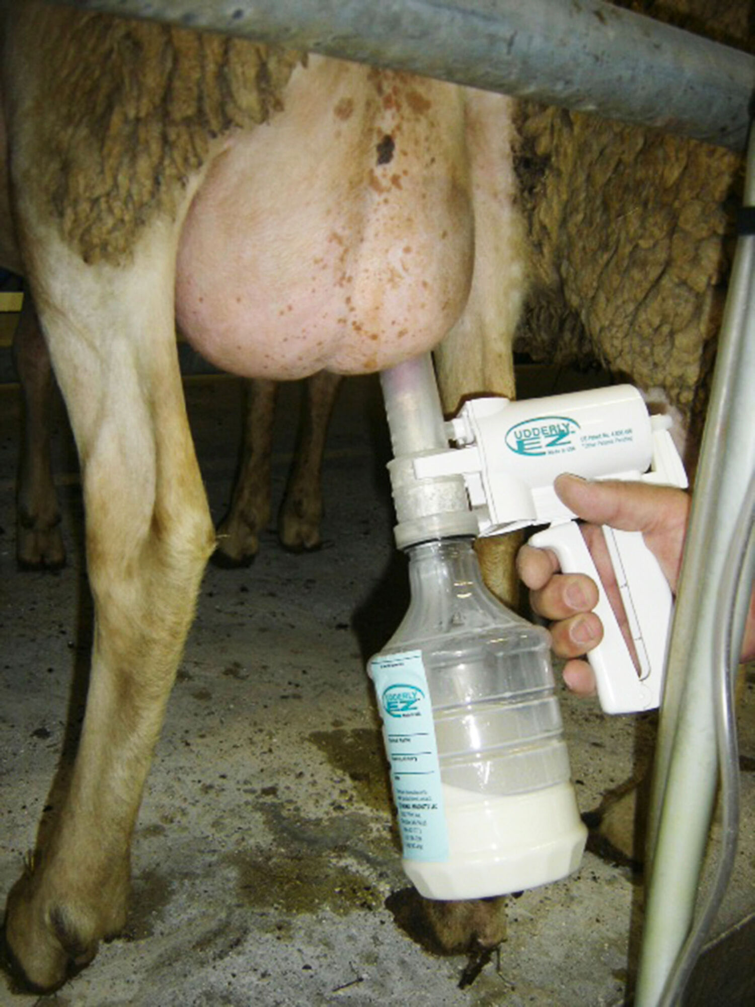 Schafmelkpumpe, Komplettset - 27602 Schafmelkpumpe, Komplettset von 27602