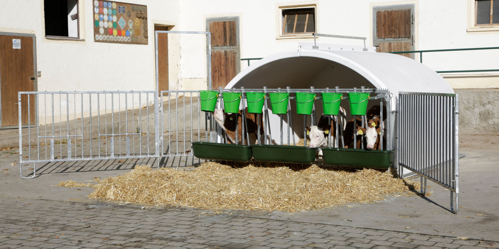 CalfHouse Premium XXL inkl. Umzäunung - Kerbl 14540 CalfHouse Premium XXL inkl. Umzäunung von Kerbl 14540