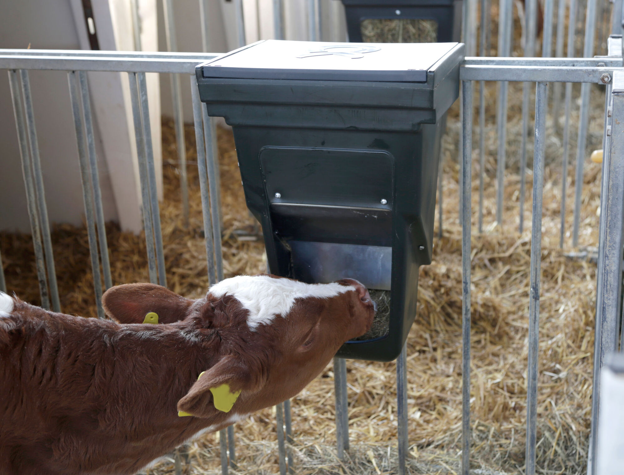 Kraftfutterbox für Kälberhütten von Kerbl 144353