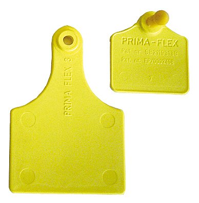 PrimaFlex-Ohrmarke Größe 3, ungeprägt | 25er Pack von 20751