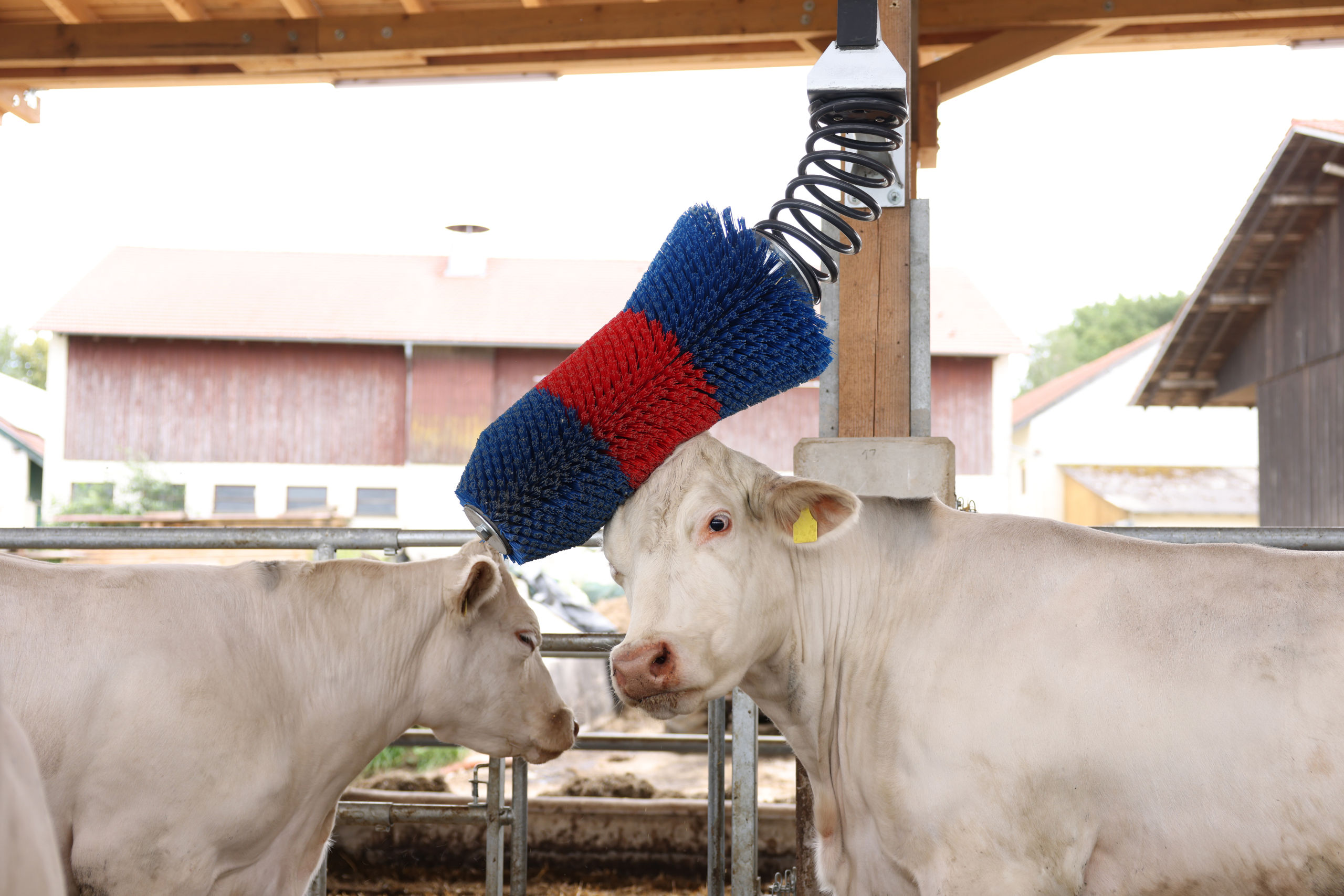 Kratzbürste HAPPYCOW FlexiSwing - Kerbl 18670 Kratzbürste HAPPYCOW FlexiSwing von Kerbl 18670