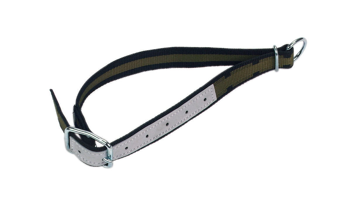 Halsband mit Ovalglied und D-Ring von Kerbl 12460