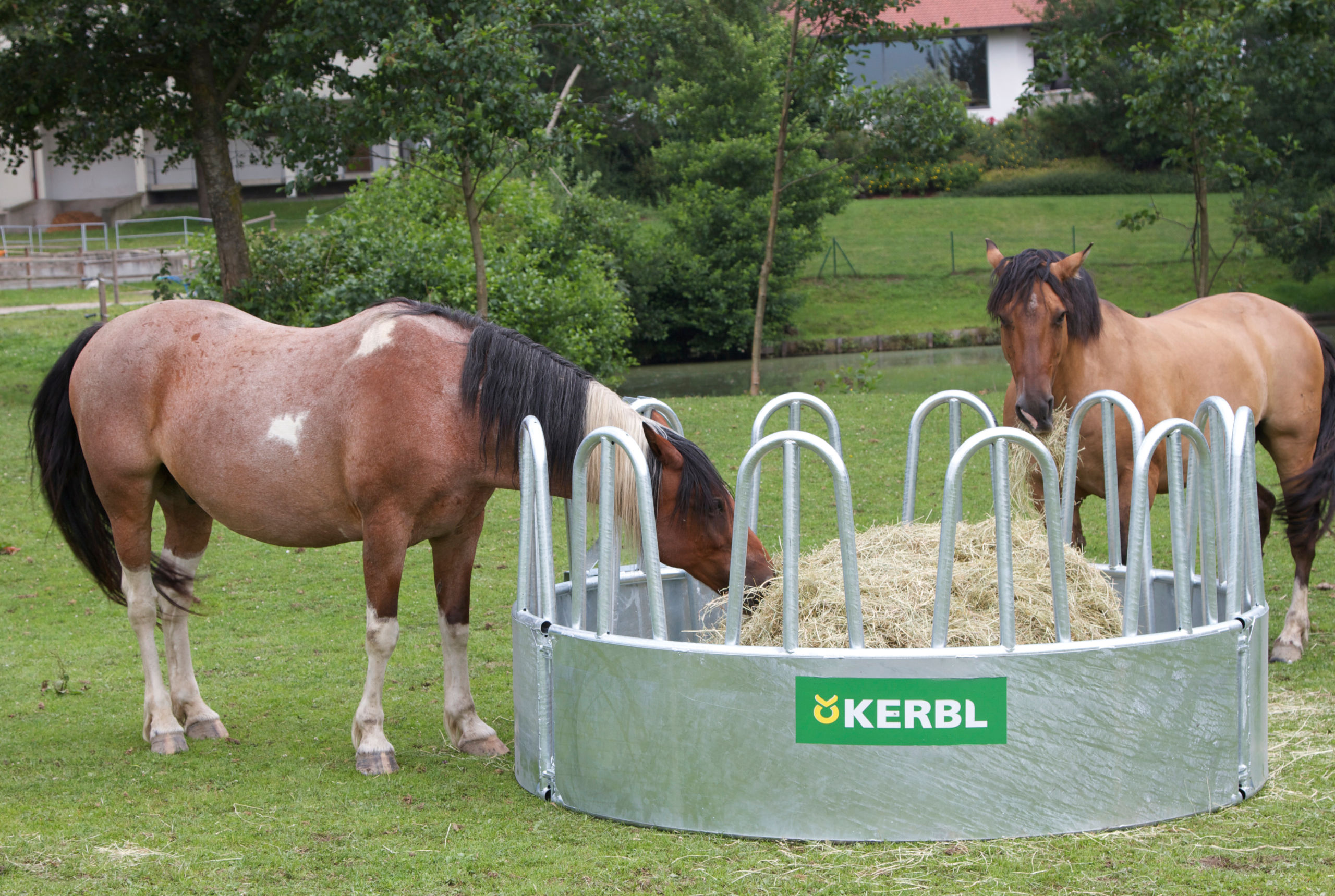 Rundraufe mit 12 Fressplätzen - Kerbl 291258 Rundraufe mit 12 Fressplätzen von Kerbl 291258