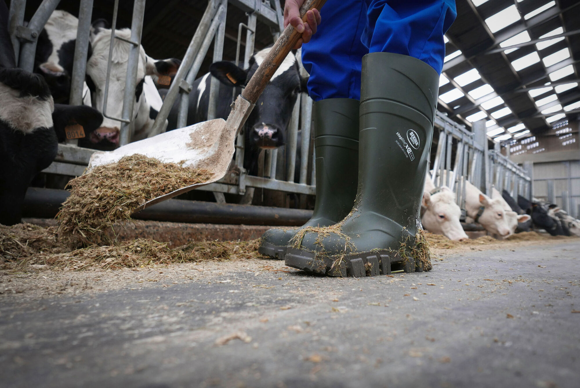 Bekina Sicherheitsstiefel S5 StepliteX® Thermoprotec von Bekina