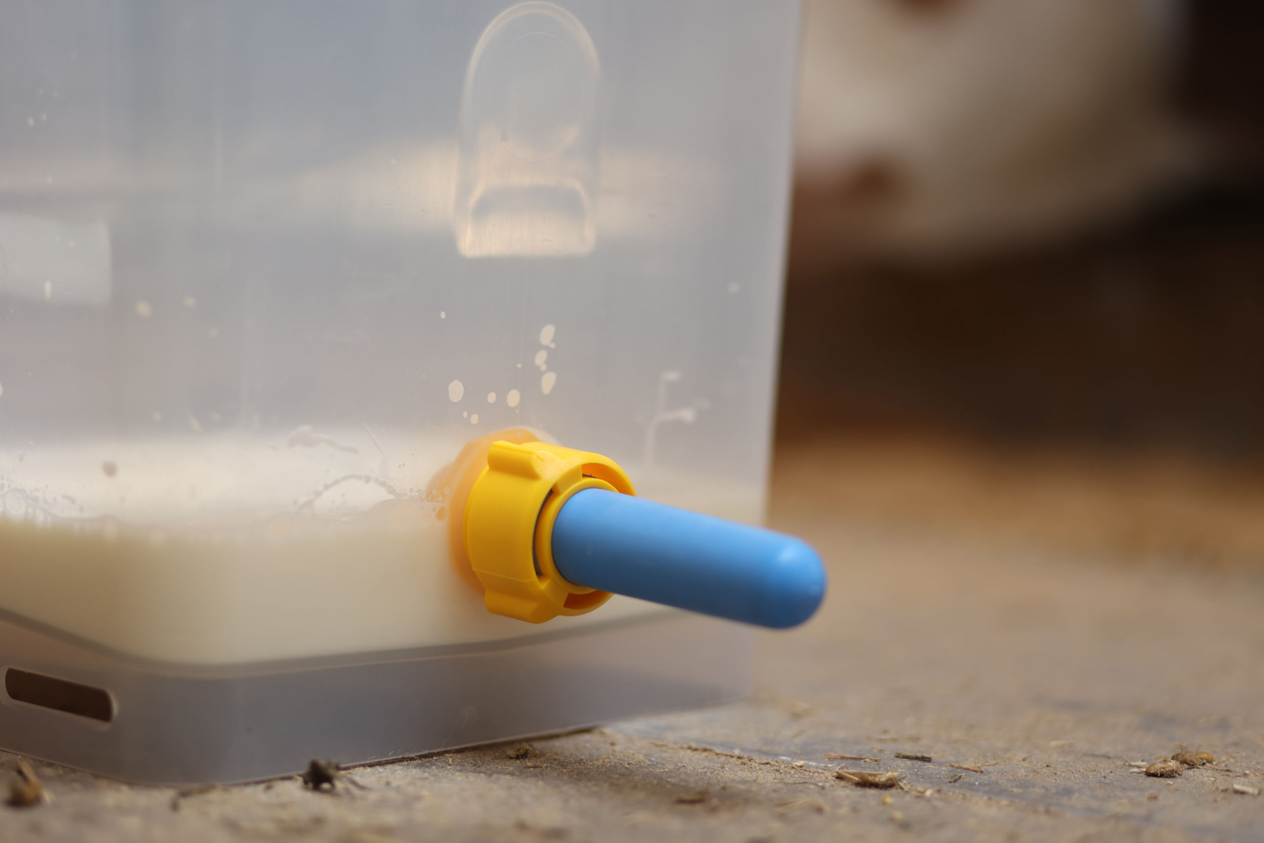 Hygienesauger mit antibakterielle Wirkung | 10er Pack von Kerbl