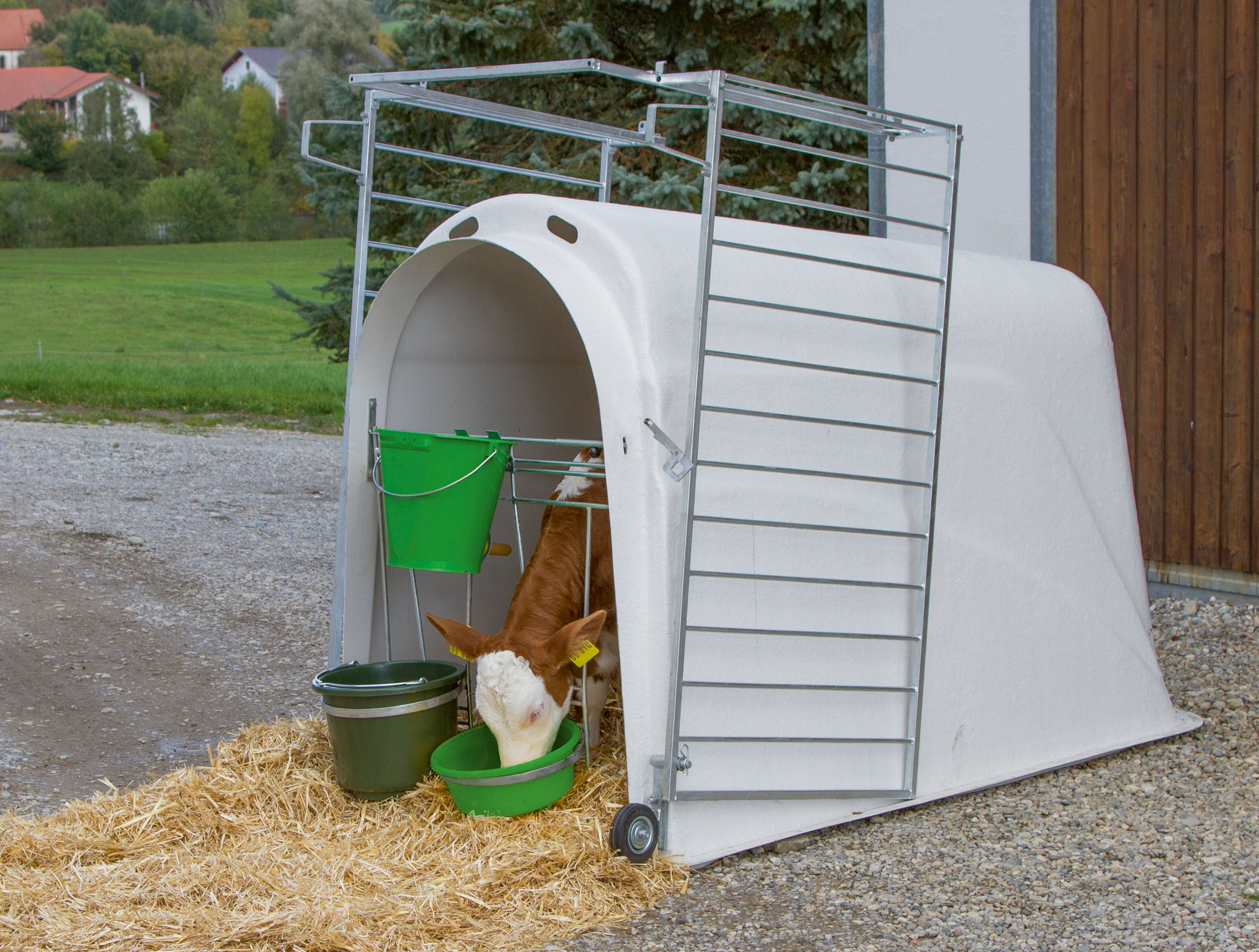 Kälberiglu CalfHouse Master Plus mit leichter Umzäunung von Kerbl 14470
