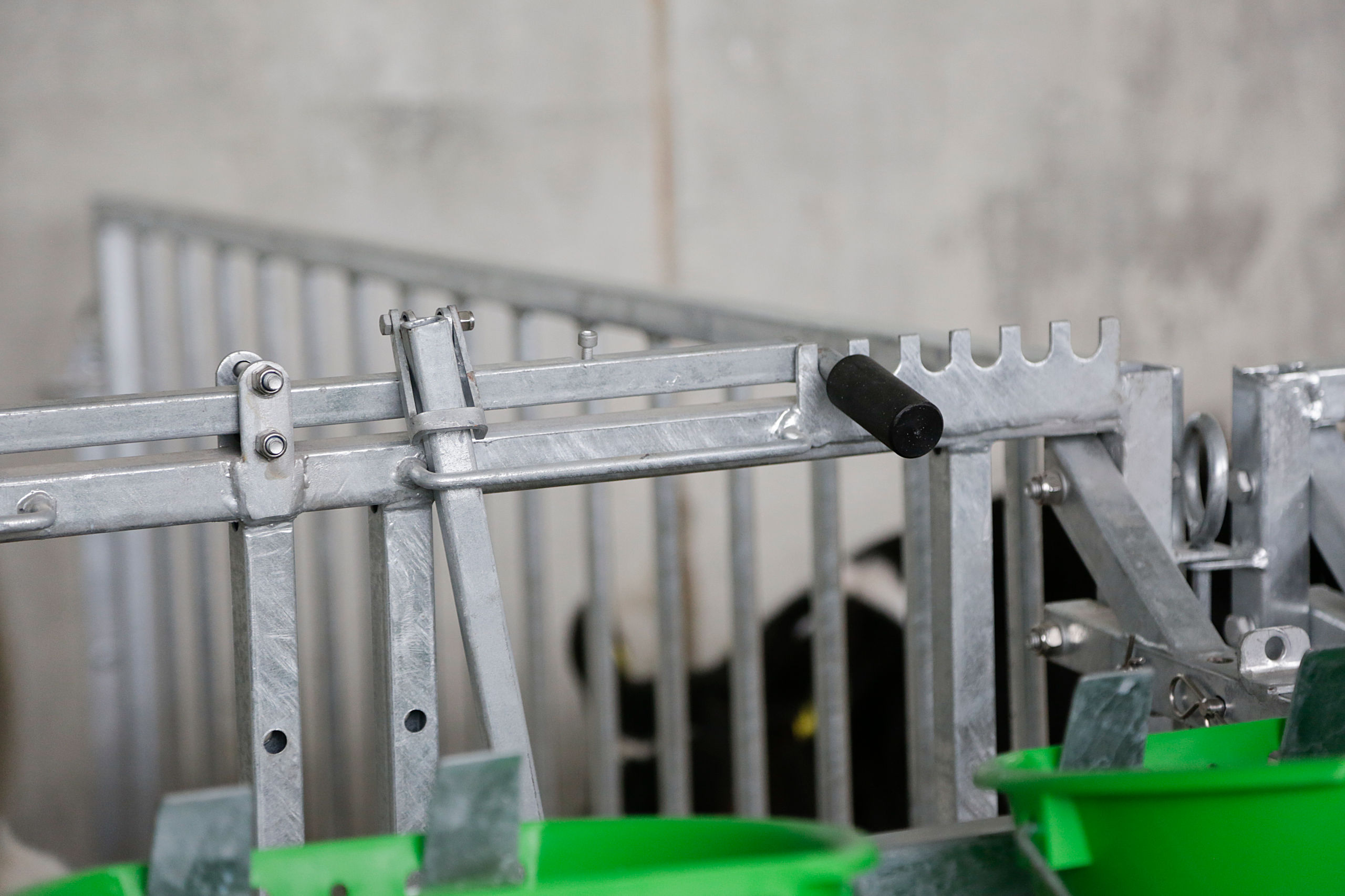 Fressgitter 5 Plätze mit Troghalter für modulare Zaunaufstallung - Kerbl 14493 Fressgitter 5 Plätze mit Troghalter für modulare Zaunaufstallung von Kerbl 14493