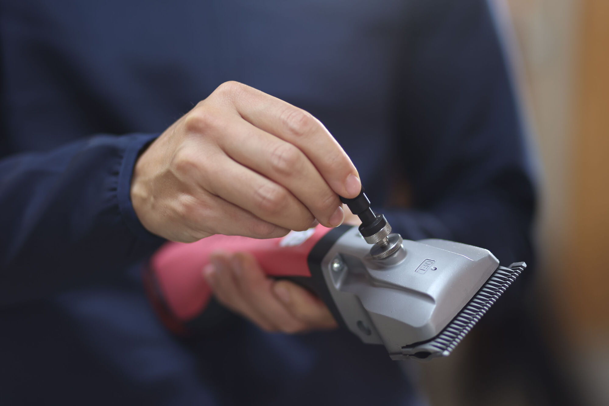 Aesculap Präzisionsjustierhilfe Torqui, Econom-System von Aesculap