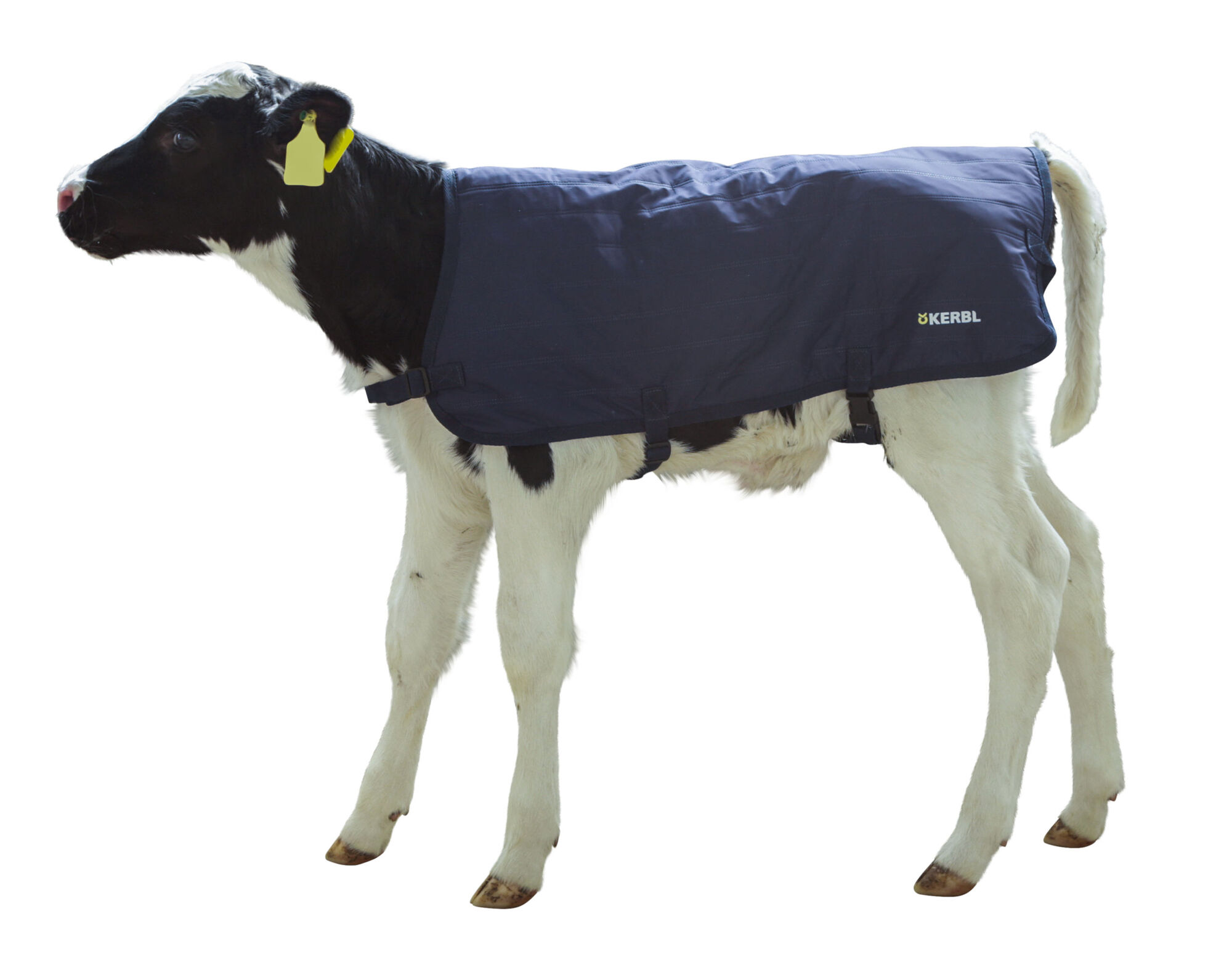 Kälberdecke EasyWear - Kerbl Kälberdecke EasyWear von Kerbl