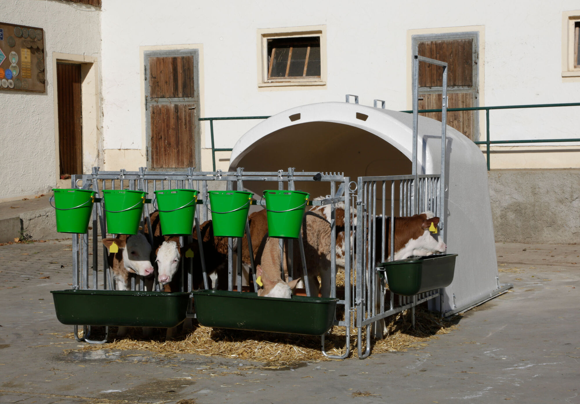 Großraumkälberhütte CalfHouse Premium XL inkl. Umzäunung - Kerbl 14520 Großraumkälberhütte CalfHouse Premium XL inkl. Umzäunung von Kerbl 14520