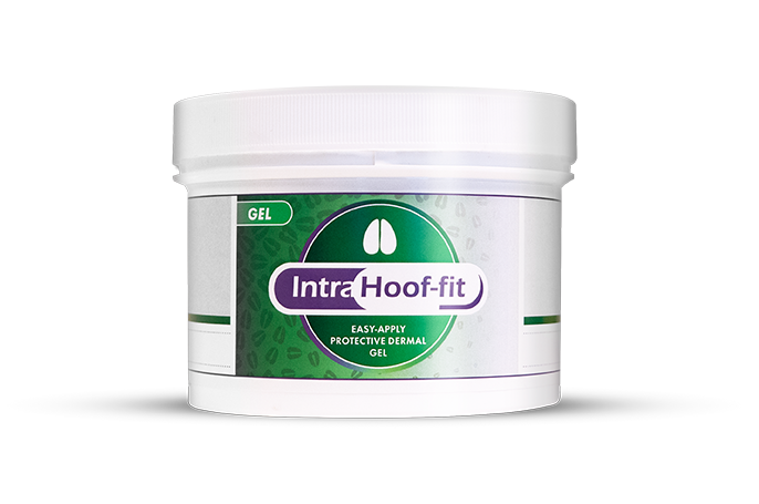 Dose Hoof-Fit Gel Klauenpflegemittel | 330ml - Intracare Dose Hoof-Fit Gel Klauenpflegemittel | 330ml von Intracare
