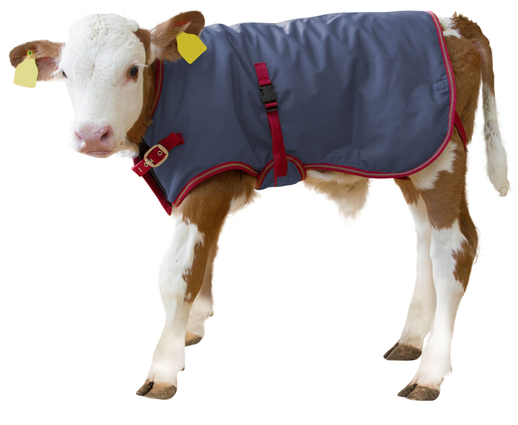 Kälberdecke ThermoPlus von Kerbl