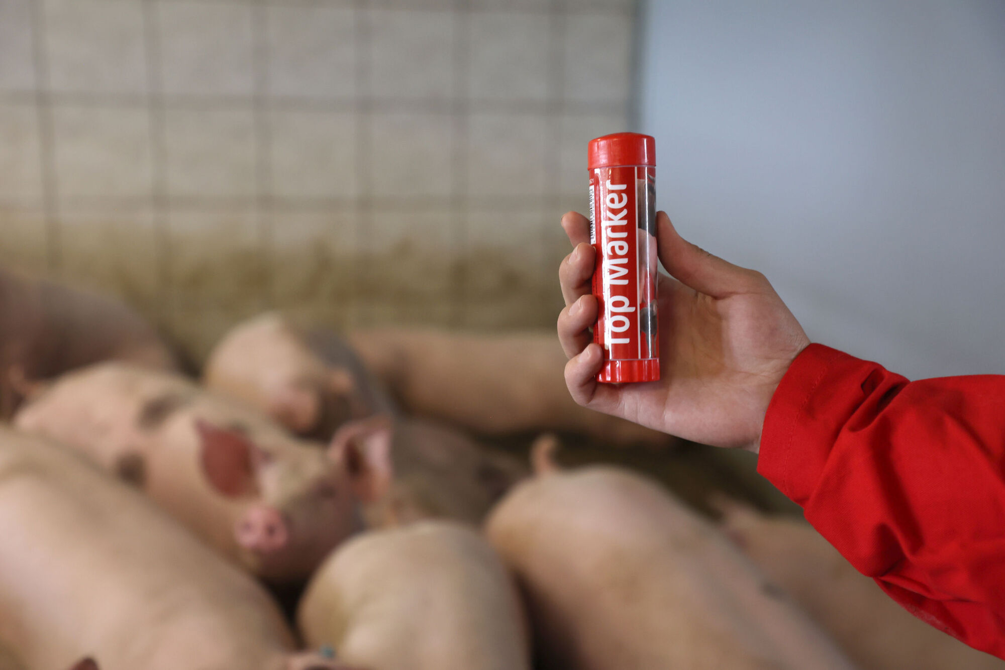 Viehzeichenstift TopMarker - Kerbl Viehzeichenstift TopMarker von Kerbl