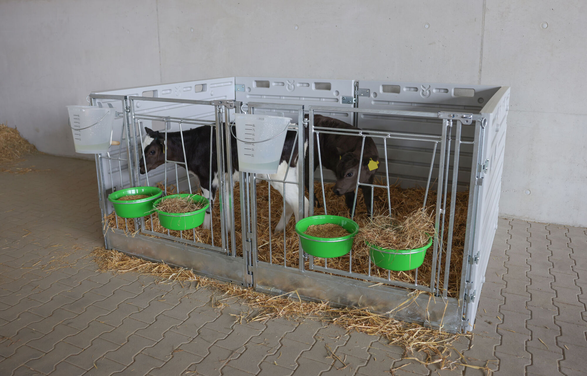 Modulare Kälberbox Doppelbucht freistehend - Kerbl 14628 Modulare Kälberbox Doppelbucht freistehend von Kerbl 14628