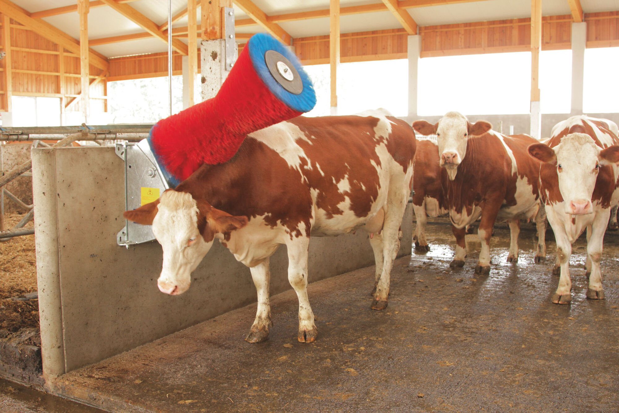 Kuhputzmaschine HAPPYCOW Uno mit PA-Borsten - Kerbl 18680 Kuhputzmaschine HAPPYCOW Uno mit PA-Borsten von Kerbl 18680
