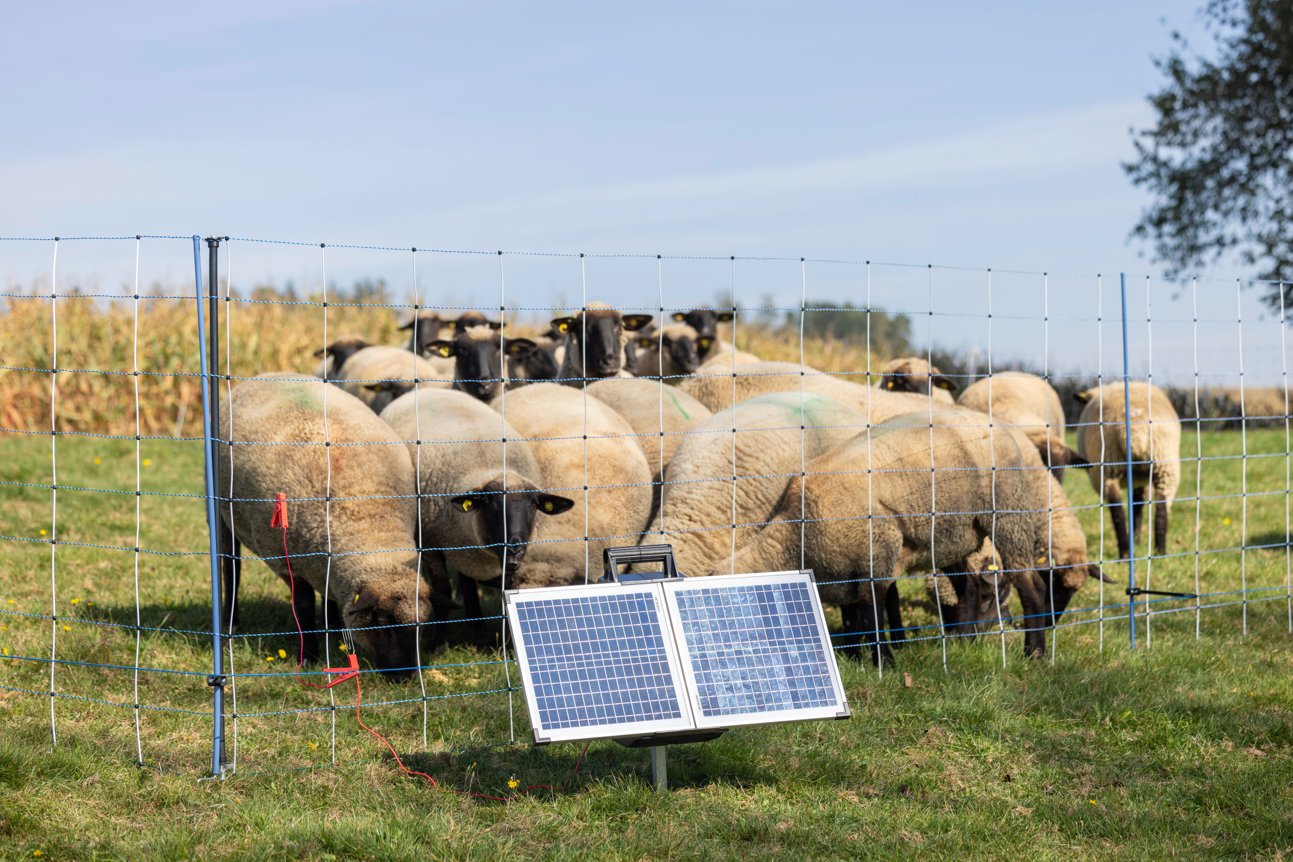 AKO SunPower S2400 Smart 12V Weidezaungerät von AKO 372953
