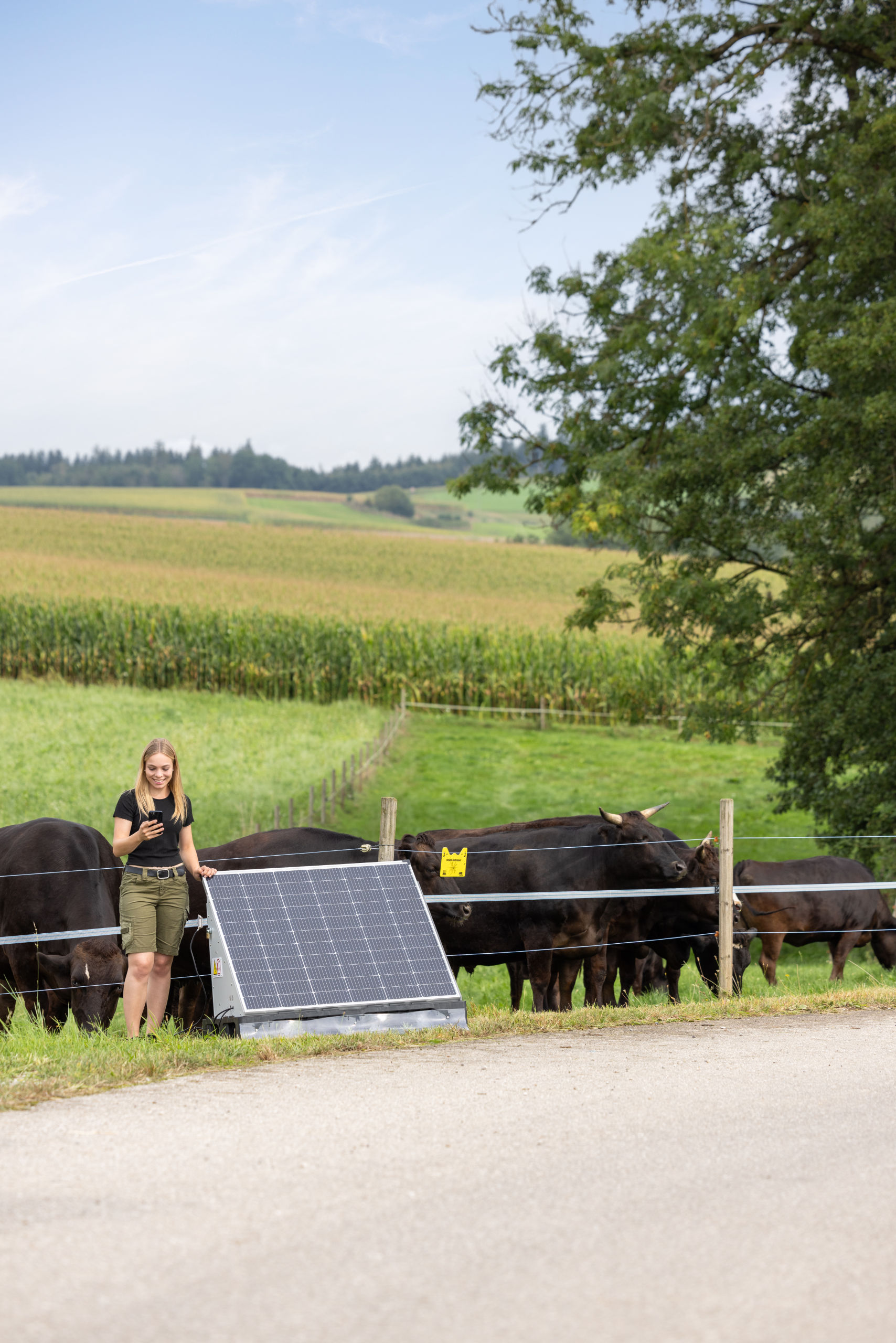 AKO Solar Station XXL smart von AKO 441103