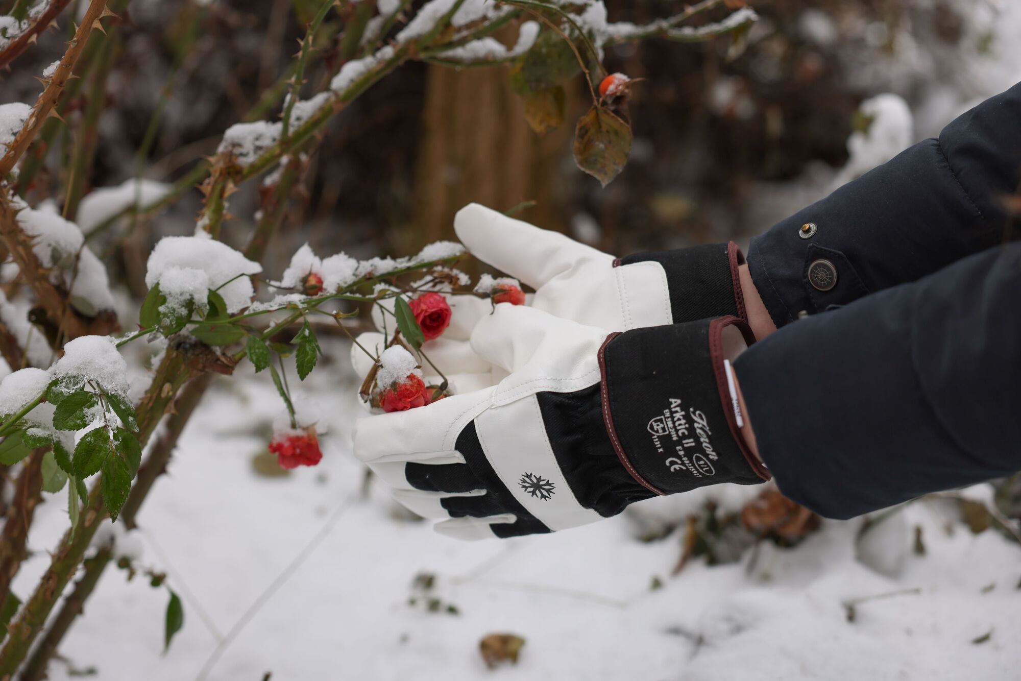 Winterhandschuh Arktic II - Keron Winterhandschuh Arktic II von Keron