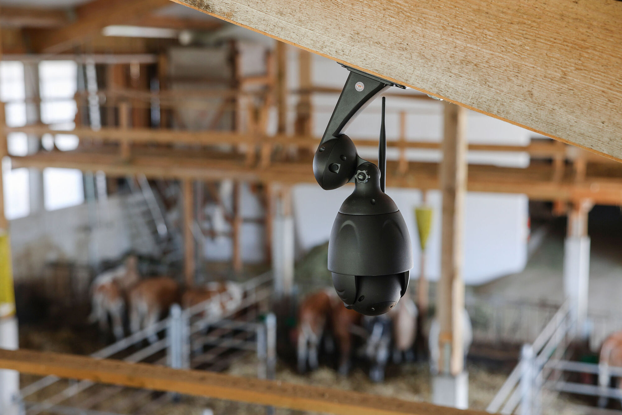 Stallkamera IPCam 360 FHD von Kerbl 10809